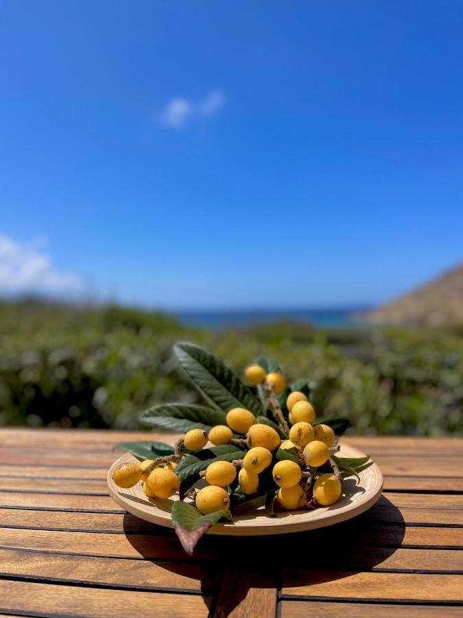 Seaside Studios Arkasa Karpathos Luaran gambar